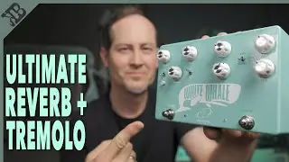 All Analog Reverb and Tremolo Masterpiece | Crazy Tube Circuits White Whale v2 | Gear Corner