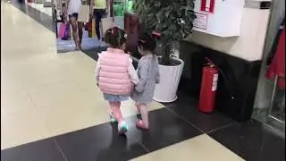 сестрички