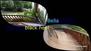 Bella Black Heel Crutching