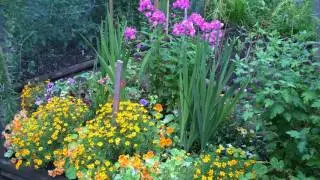 Our Gardens Slide Show