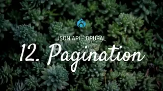 12  Pagination