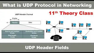 [What is UDP Protocol in Networking] [What is UDP Header] [What is TCP and UDP] [UDP Header Fields]