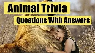 Animal Trivia Questions With Answers | Test Your Knowledge