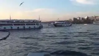 Стамбул. Балык экмек