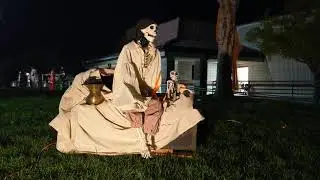 Skeleton Pirate - Show