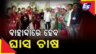 ବାହାର୍ଦ୍ଦାରେ ଘାସ ଚାଷ ପାଇଁ କମ୍ପାନୀ ଗଢିଲେ ମହିଳା Awomanformed a company for grass cultivationinBaharda
