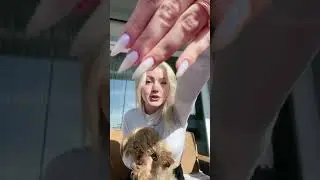 köpke sevmeyenle hic olmaz