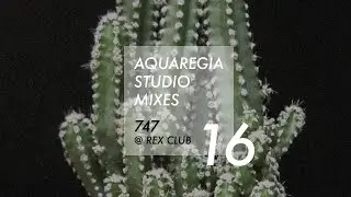 Aquaregia Studio Mix No. 16: 747 - Recorded at Rex Club April 26 2019