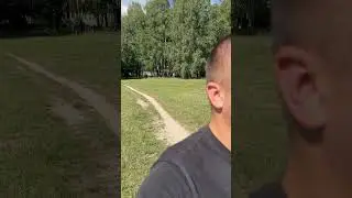 Отработка укладки и подзыва #дрессировкасобаксолигорск #питбультор #питбультерьер