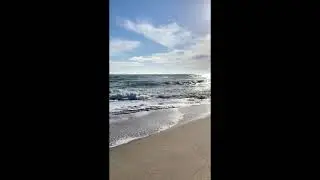 #Nature​ #shorts​ #youtubeshorts​ #viral​ #trending​ #shortvideo