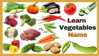 Vegetables Names Vocabulary in English and Tamil | காய்கறிகளின் பெயர்கள் | Learn vegetables.