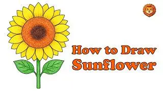How to Draw a Sunflower Easy | Step-by-Step Drawing for Beginners