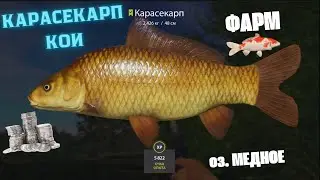 ФАРМ  на МЕДНОМ в Русской Рыбалке 4! РР4