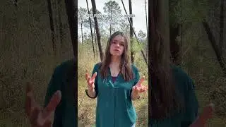 Голос маленькой серенькой птички пеночки-теньковки