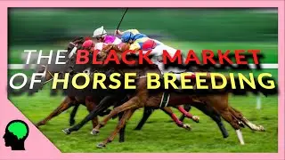 The Most Expensive Liquid In The World and The Black Market of Horse Breeding