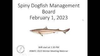 Spiny Dogfish Board Proceedings Feb2023