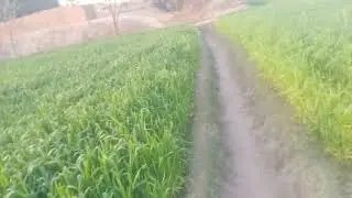 Mare gandom seta nikl rhe ha