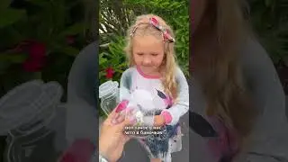 Как сохранить лето
