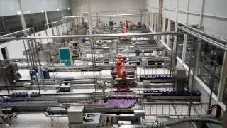 Dairy production #1