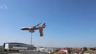 Fly