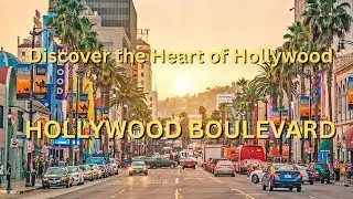 Discover the Heart of Hollywood: Hollywood Blvd