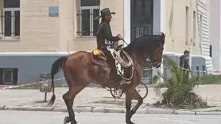 Ιππικός Σύλλογος Βόλου. Οι Κένταυροι. Απόσπασμα Από την παρέλαση στην παραλία του Βόλου. 19/05/2024