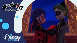 😻 Po prostu ideał...! | Miraculous: Biedronka i Czarny Kot | Disney Channel Polska