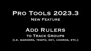 Add Rulers to Track Groups PT 2023 3