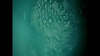 Nine Inch Nails- The Four of Us Are Dying (Video HD)