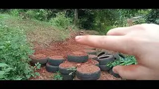 Avance. Terrazas con cauchos para nivelar terreno.