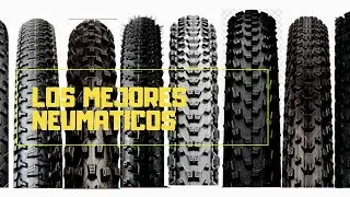 ✅ Top 3 BEST Tires for MTB 🚵🏼‍♂️