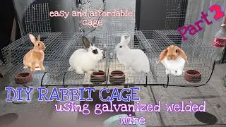 DIY RABBIT CAGE USING GALVANIZED WELDED WIRE | HOW TO MAKE RABBIT CAGE (PART 2)