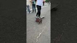 Угнал электроскейт🤭🛹