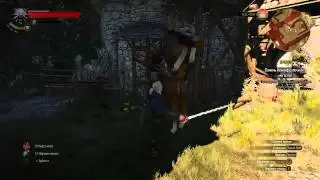 Witcher 3 horse glitch