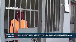 Harus tau bahwa ini adalah pelajaran buat kita semua