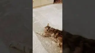 оооооооох как мне тяжело