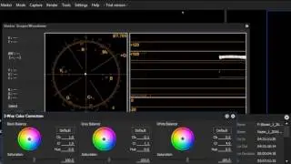 Как настроить точный баланс белого в Эдиусе. (Edius white balance)