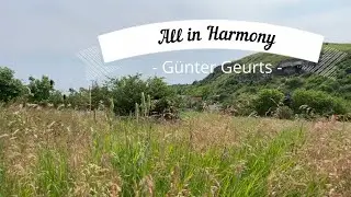 All in Harmony (Günter Geurts)