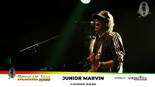 JUNIOR Marvin and the Legendary Wailers LIVE at Reggaejam 2023