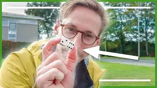 de DOBBELSTENEN BEPALEN