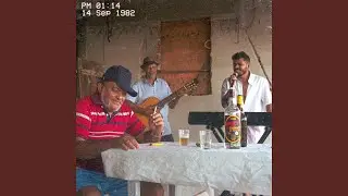 Tortura de Amor