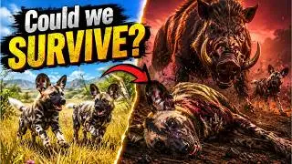 Wild Dogs ATTACKED by a Wild Boar! Did We SURVIVE? | Animalia Survival Gameplay