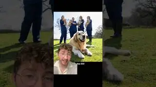 Dog Who Fathered More Than 300 Guide Dog Puppies Officially Retires