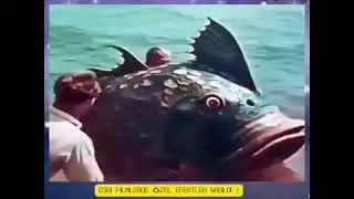 ESKİ FİLMLERDE ÖZEL EFEKTLER  #viralvideo #funny #cinematic