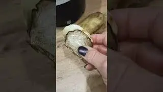 Манго можно вырастить из косточки