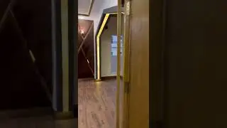 fully furnished and luxury house