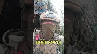 Военкоры | Паника в телеграме. 