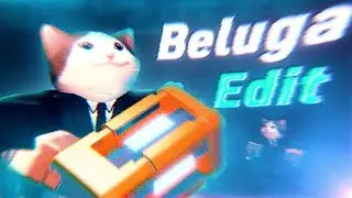 Edit c Beluga