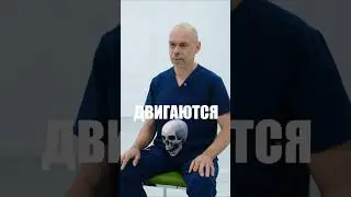 Skull bones MOVEMENT and BREATHE! Myth or reality? 