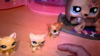 Lps Deutsch:  Feenwelt (Die magische Entdeckung#1)